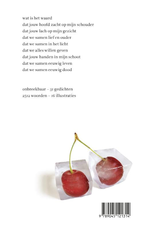 Onbreekbaar-flaptekst-9789045121314