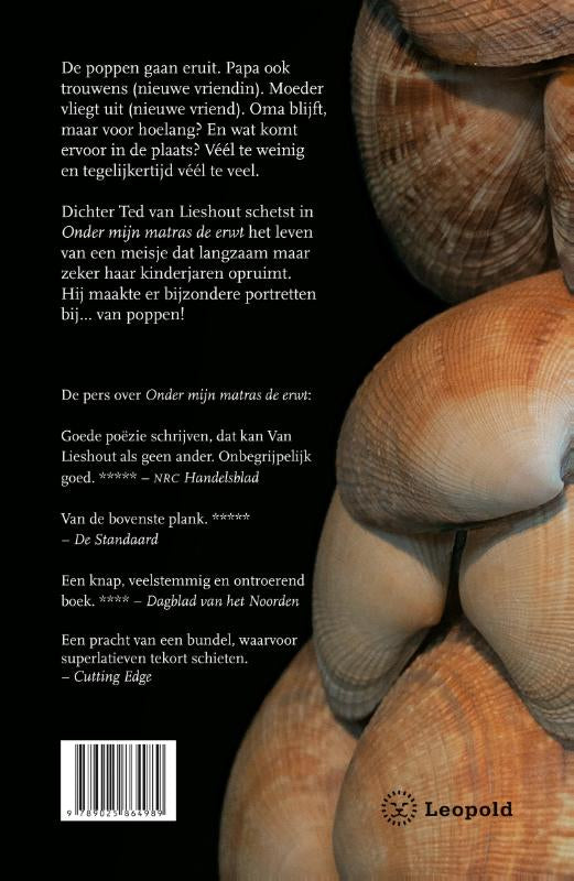 Onder-mijn-matras-de-erwt-flaptekst-9789025864989