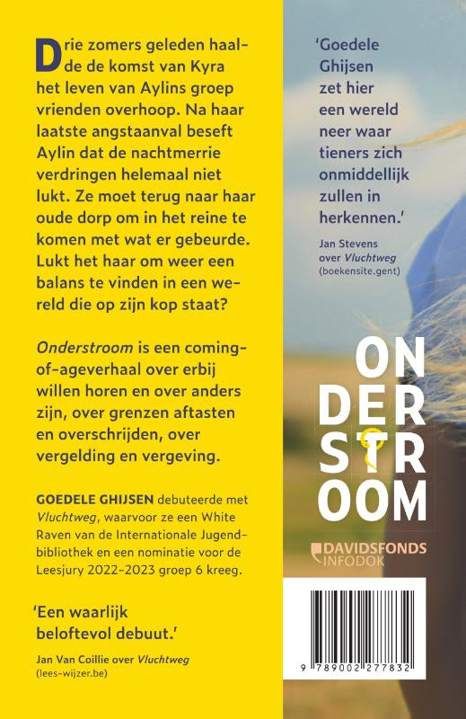 Onderstroom-flaptekst-9789002277832