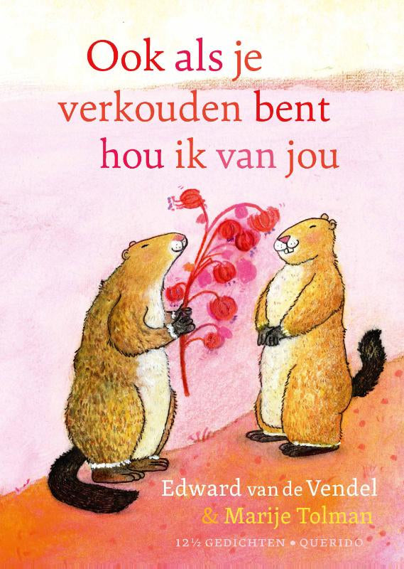 Ook-als-je-verkouden-bent-hou-ik-van-jou-boek-cover-9789045131658