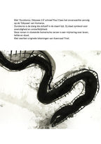 Ouroboros-flaptekst-9789464774405