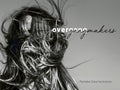 Overgangmakers-boek-cover-9789090424989