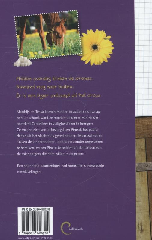 Paard-ontdekt-flaptekst-9789026608520