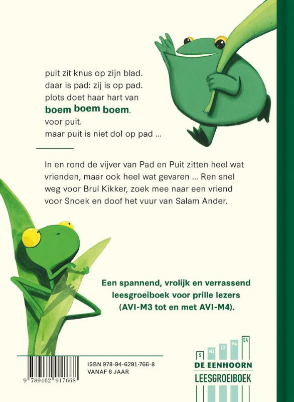 Pad-en-Puit-flaptekst-9789462917668