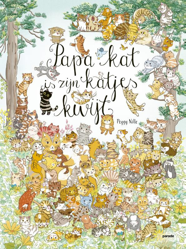 Papa-kat-is-zijn-100-katjes-kwijt-boek-cover-9789493408210