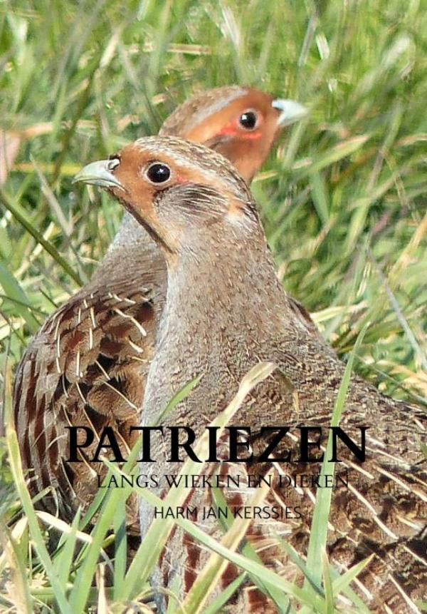 Patriezen-boek-cover-9789403693613