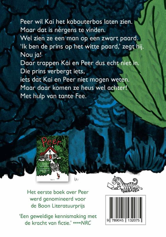 Peer-De-prins-op-het-zwarte-paard-flaptekst-9789045132075