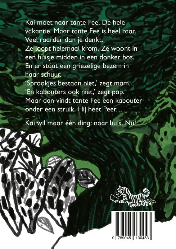 Peer-flaptekst-9789045130453