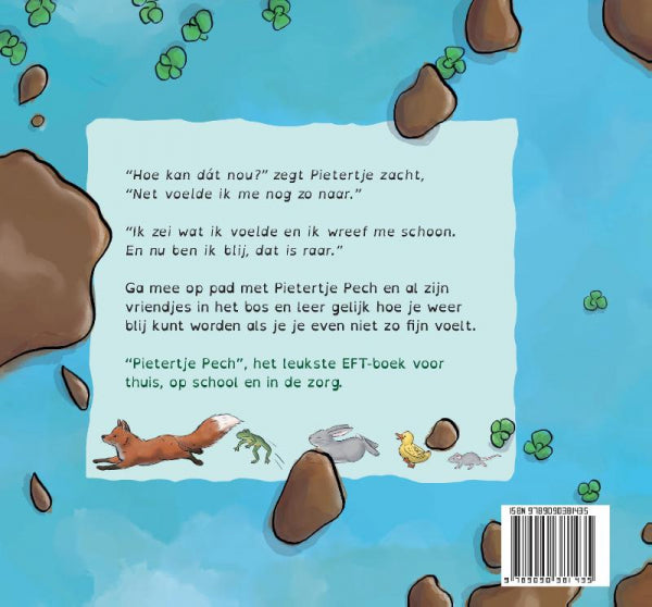 Pietertje-Pech-poetst-al-zijn-zorgen-weg-flaptekst-9789090381435