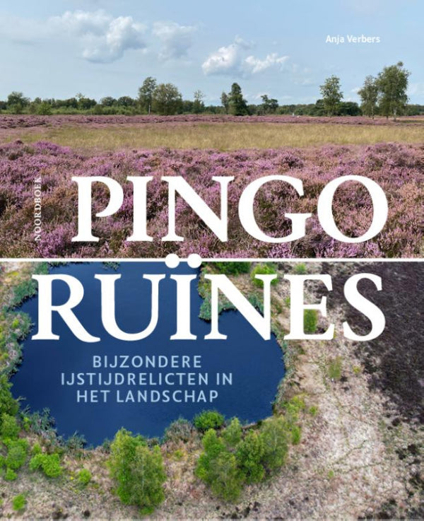 Pingoruines-boek-cover-9789464714029