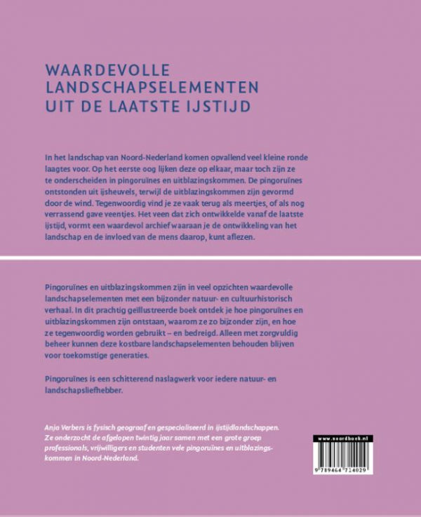 Pingoruines-flaptekst-9789464714029