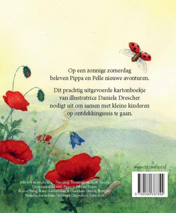 Pippa-and-Pelle-in-de-zomerzon-flaptekst-9789060387894