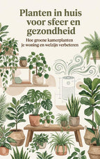 Planten-in-huis-voor-sfeer-en-gezondheid-boek-cover-9789465535678