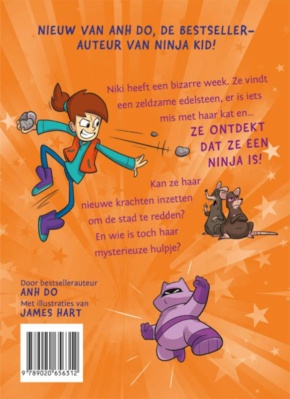 Plots-een-ninja-flaptekst-9789020656312