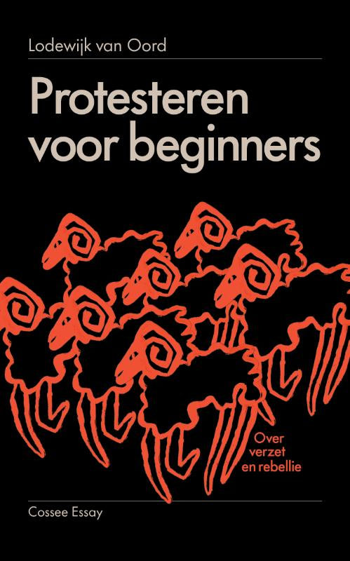 Protesteren-voor-beginners-boek-cover-9789464522006