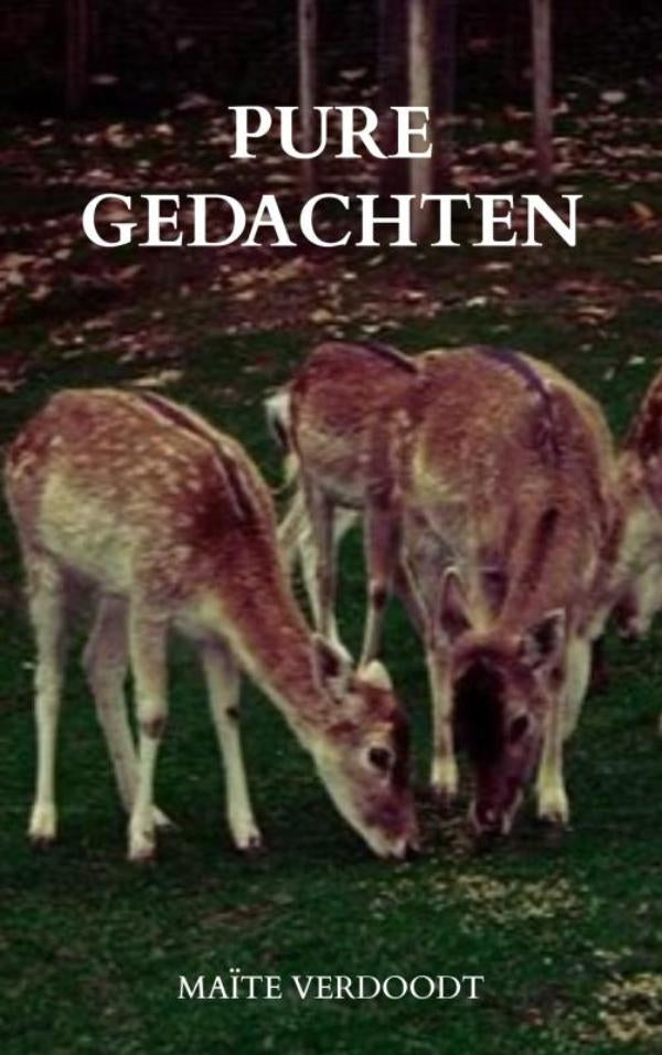 Pure-gedachten-boek-cover-9789403859842