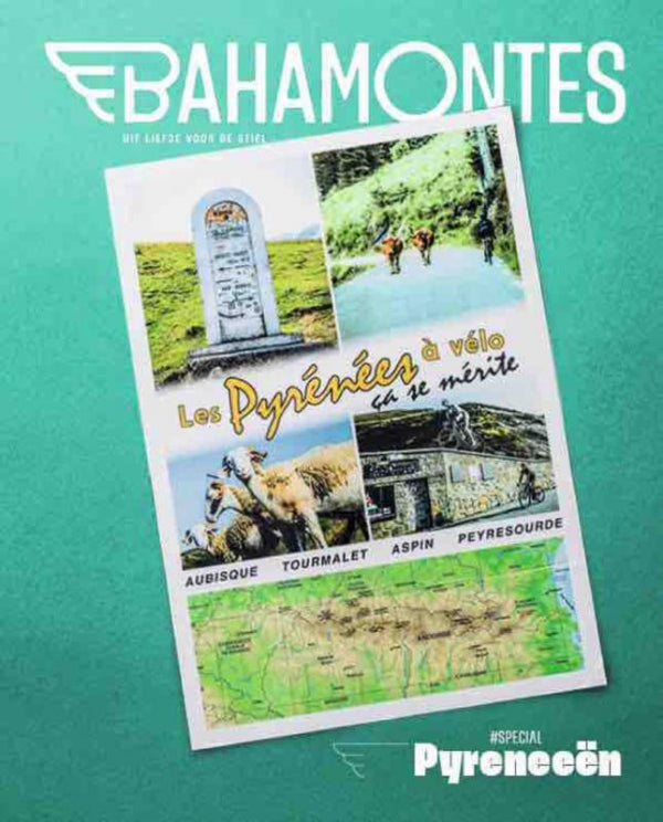 Pyreneeen-druk-1-boek-cover-9789083518176