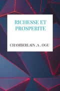 RICHESSE-ET-PROSPERITE-boek-cover-9782489078015