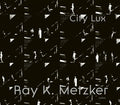Ray-K-Metzker-boek-cover-9789464781175