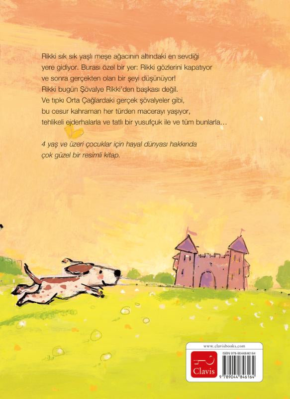 Ridder-Rikki-POD-Turkse-editie-flaptekst-9789044846164