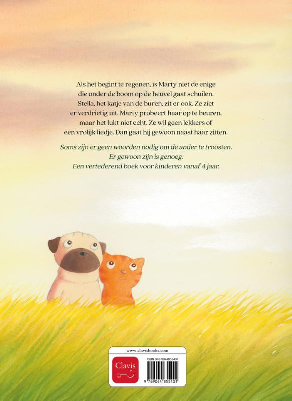 Samen-door-de-regen-flaptekst-9789044855401