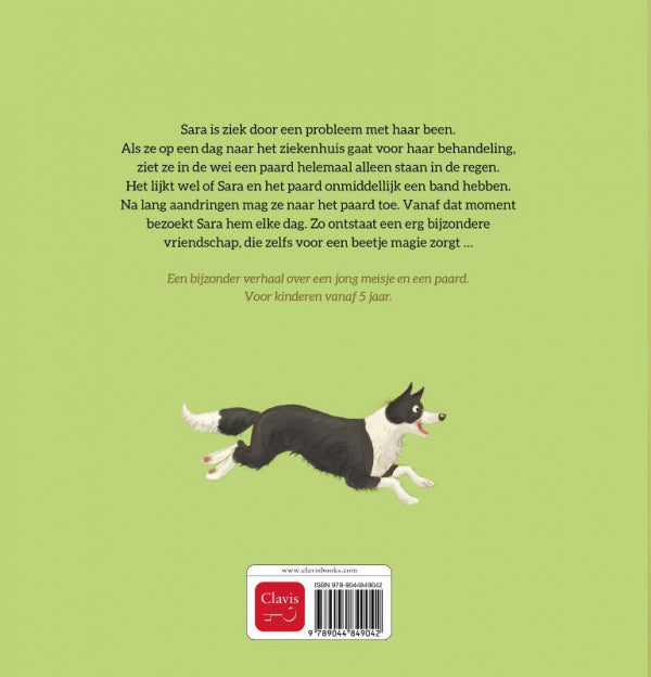 Sara-en-het-paard-flaptekst-9789044849042