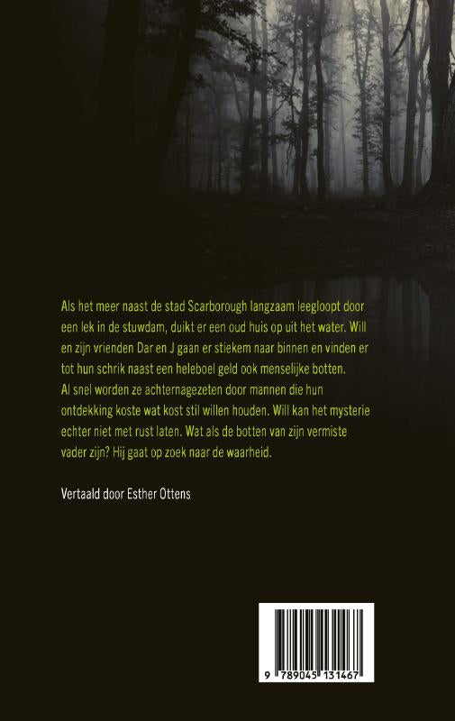 Scar-Town-flaptekst-9789045131467