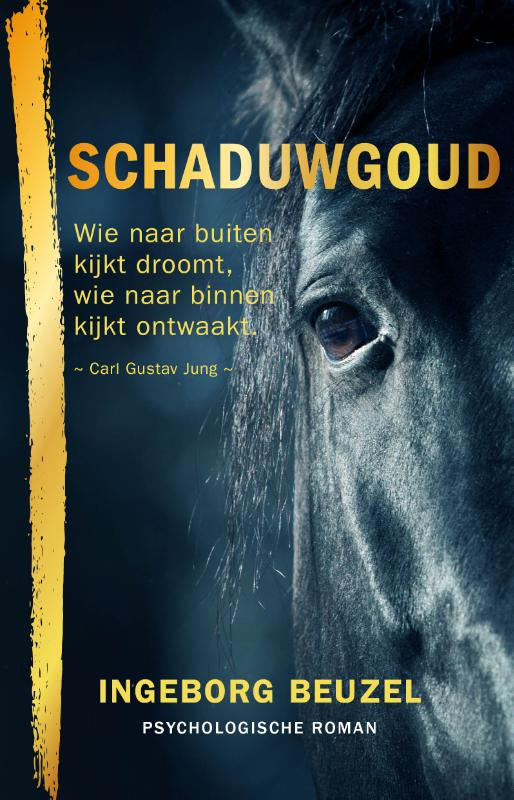 Schaduwgoud-boek-cover-9789465267777