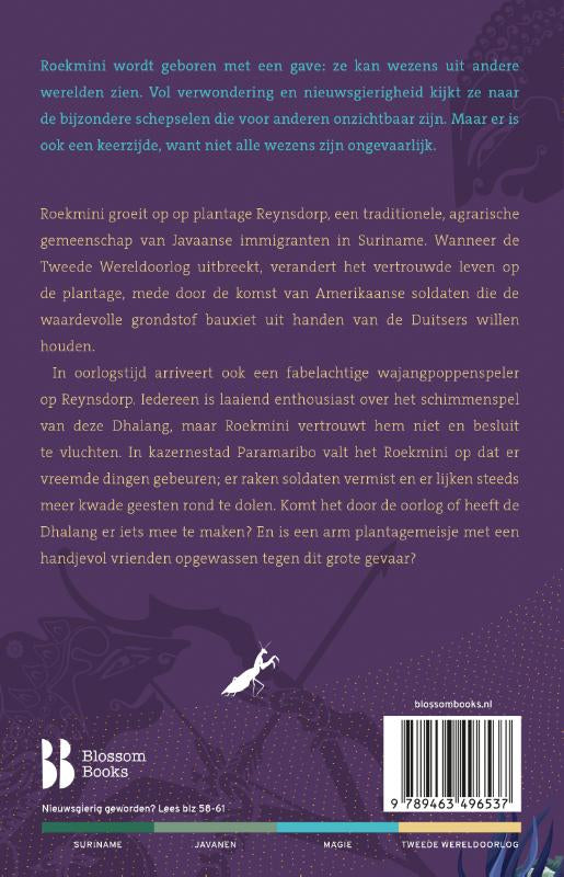 Schaduwtemmer-flaptekst-9789463496537