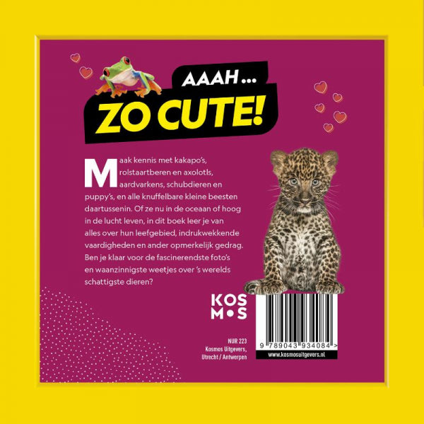 Schattigste-dieren-op-aarde-flaptekst-9789043934084