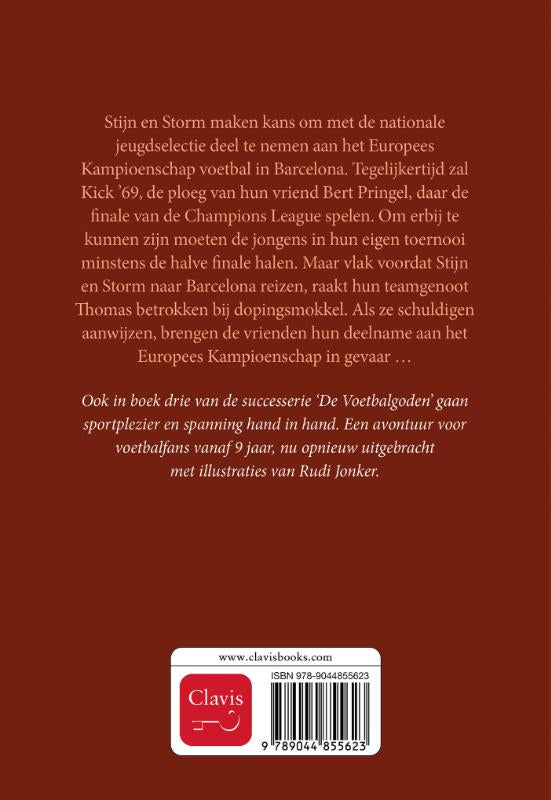 Schijnbeweging-flaptekst-9789044855623