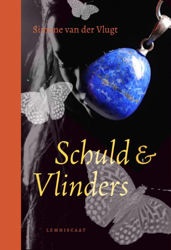 Schuld-and-Vlinders-boek-cover-9789047713876