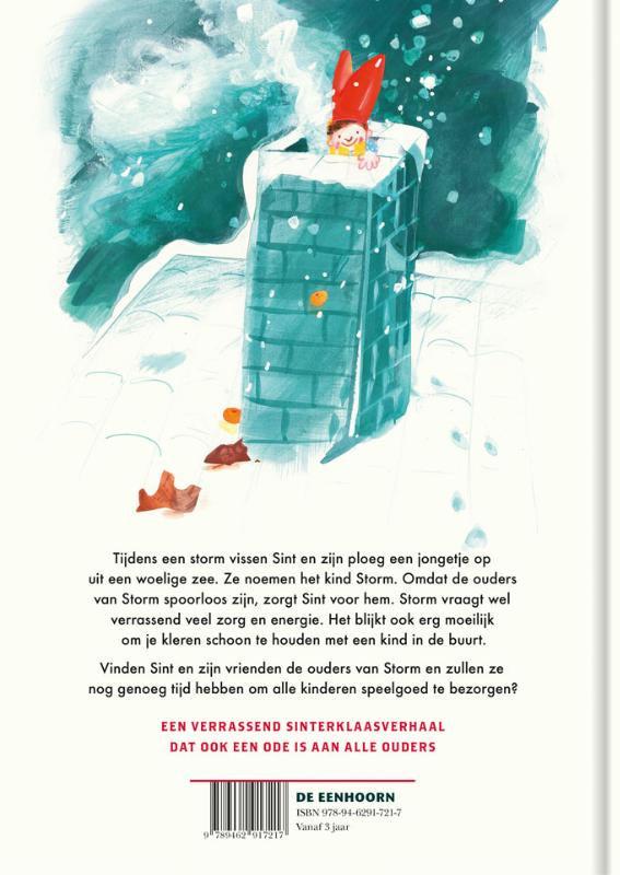Sint-redt-een-kind-flaptekst-9789462917217