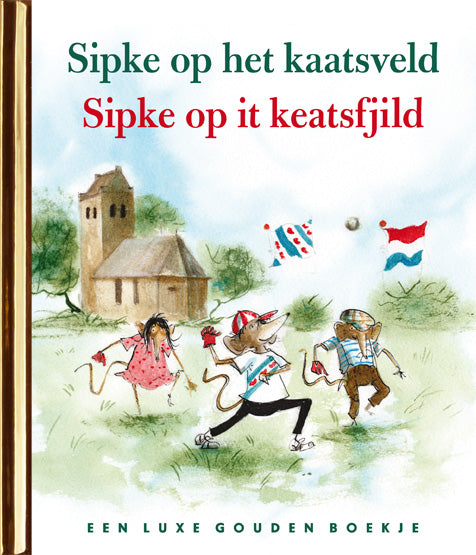 Sipke-op-het-kaatsveld-boek-cover-9789047628583