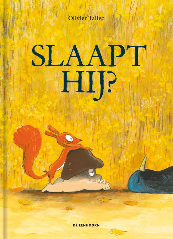Slaapt-hij-boek-cover-9789462918719
