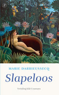 Slapeloos-boek-cover-9789029549684