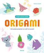 Stap-voor-stap-Origami-boek-cover-9789044767407