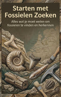 Starten-met-Fossielen-Zoeken-boek-cover-9789465486734