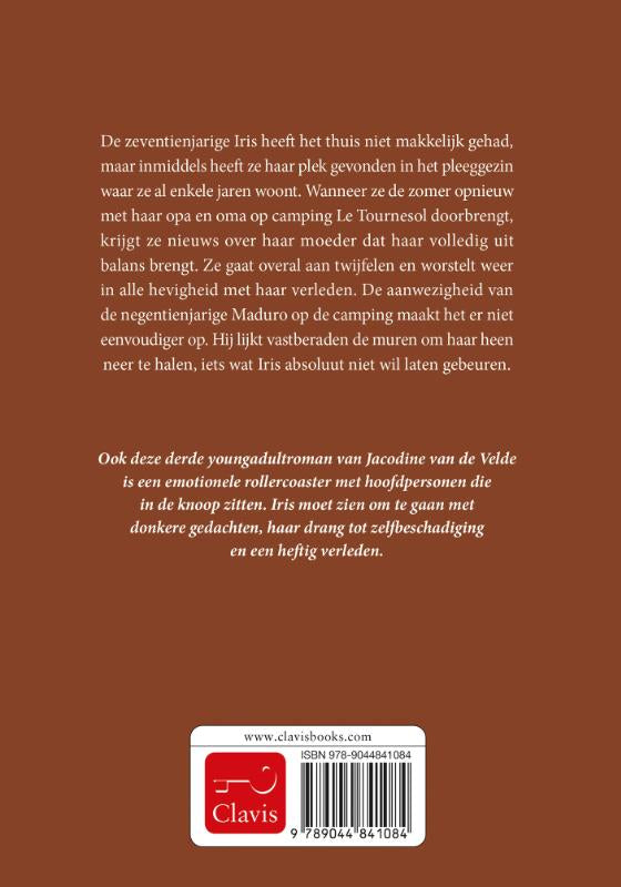 Steen-voor-steen-flaptekst-9789044841084
