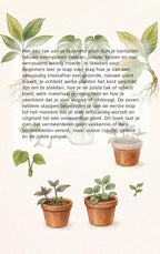 Stekken-voor-Beginners-flaptekst-9789465481814