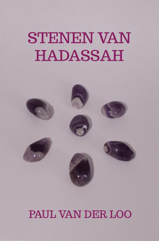 Stenen-van-Hadassah-boek-cover-9789463183352