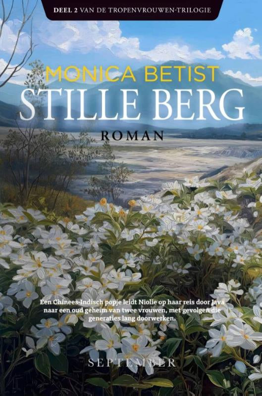 Stille-berg-boek-cover-9789493244788