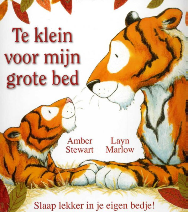 Te-klein-voor-mijn-grote-bed-boek-cover-9789053418079