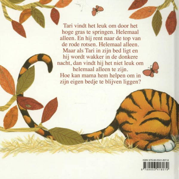 Te-klein-voor-mijn-grote-bed-flaptekst-9789053418079