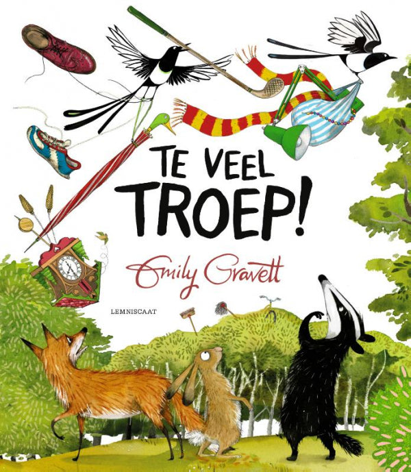 Te-veel-troep-boek-cover-9789047715313