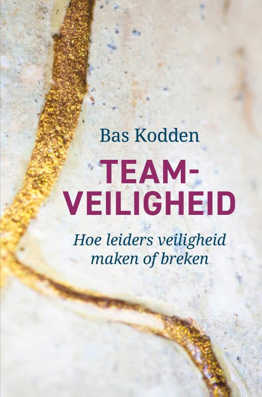 Teamveiligheid-boek-cover-9789493506152