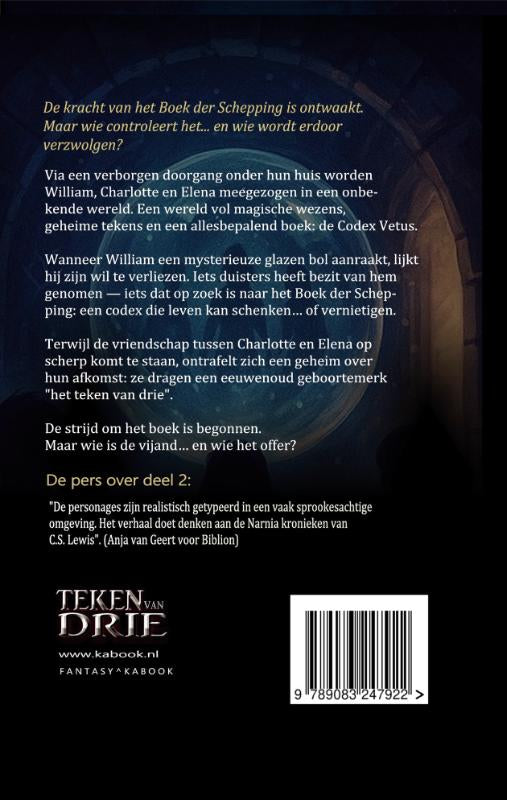 Teken-van-Drie-2-Teken-van-Drie-en-de-Codex-Beschermers-flaptekst-9789083247922