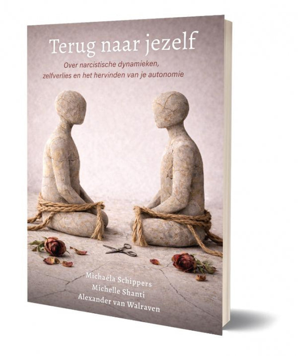 Terug-naar-jezelf-boek-cover-9789090419046