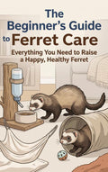 The-Beginner-s-Guide-to-Ferret-Care-boek-cover-9789465508504