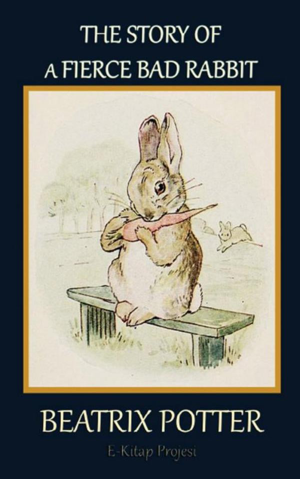 The-Story-of-a-Fierce-Bad-Rabbit-boek-cover-9786256235731